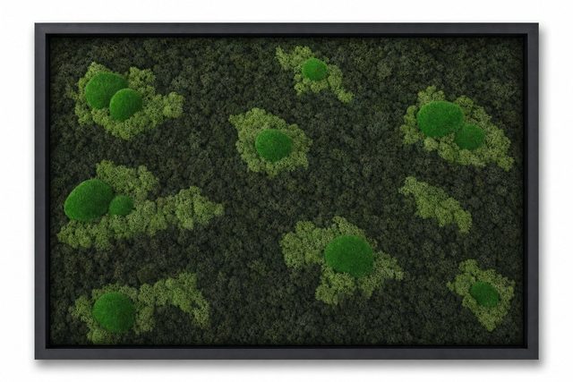 Archipelago II