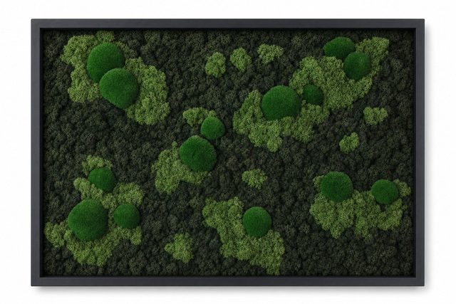 Archipelago IV