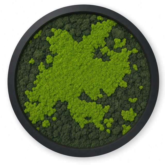 Atoll III