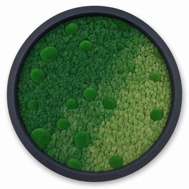 Haze VI