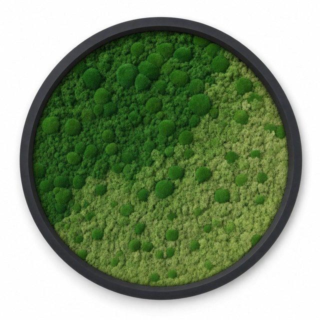 Haze VII