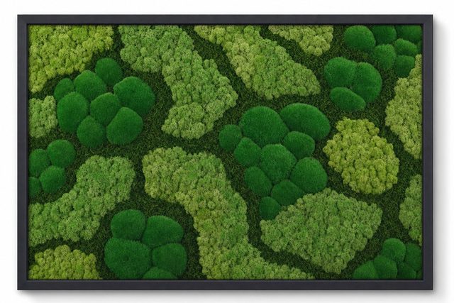 Lichen I