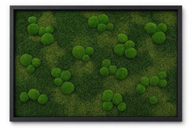 Meadow I