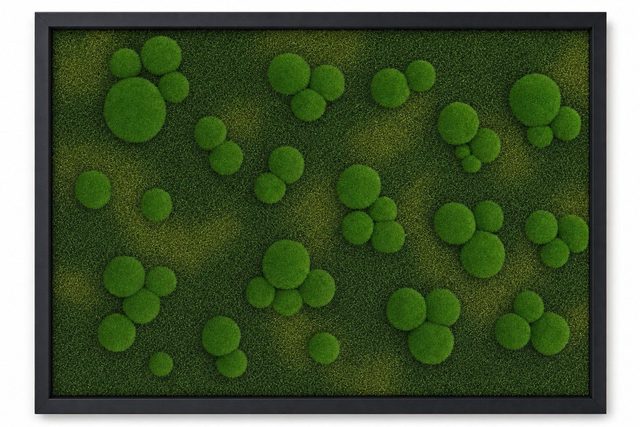 Meadow III