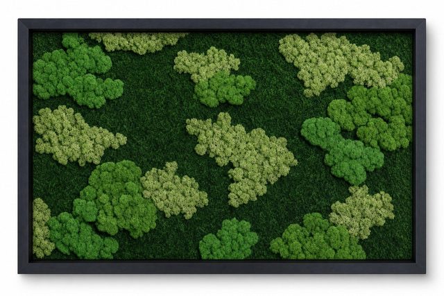 Nimbus IV