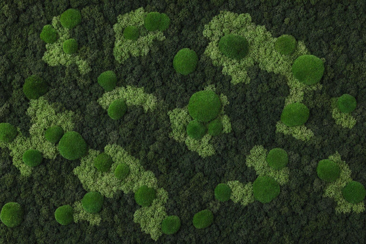 Archipelago I thumbnail 5