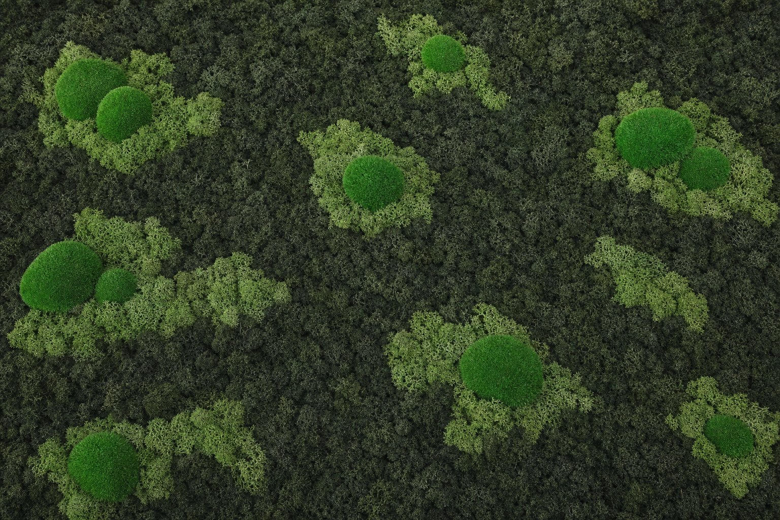 Archipelago II thumbnail 5