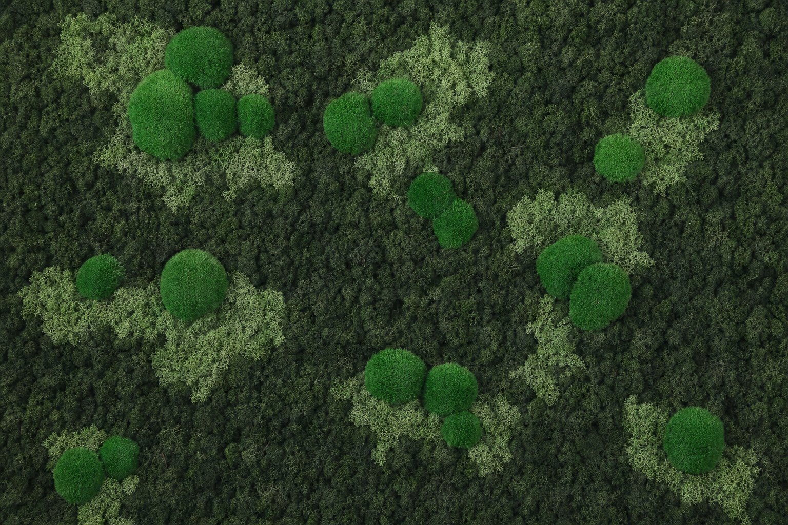 Archipelago III thumbnail 5