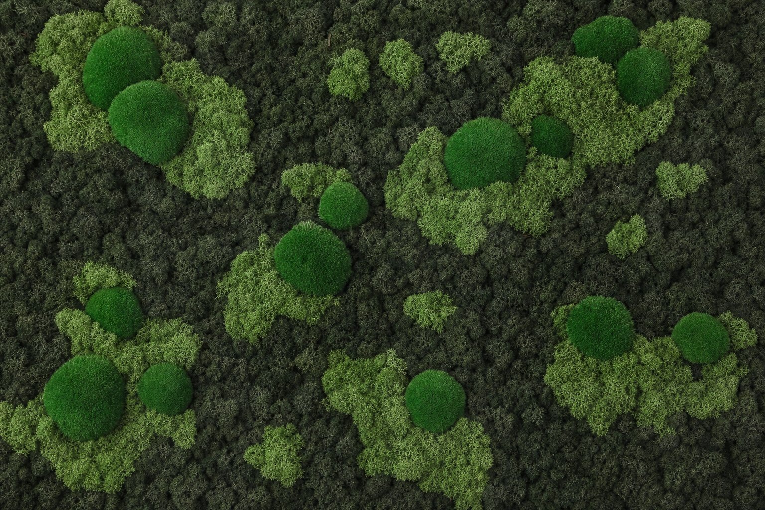Archipelago IV thumbnail 5