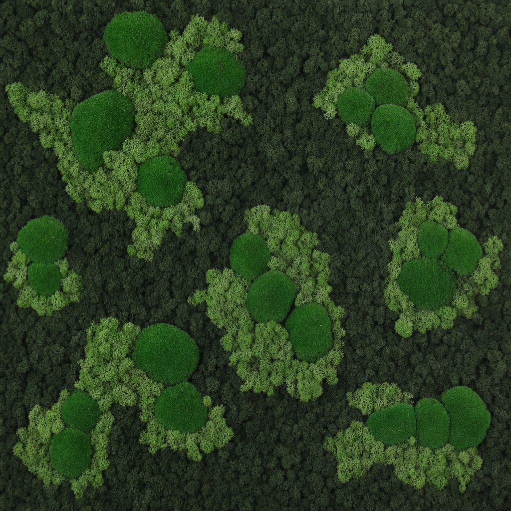 Archipelago V thumbnail 5