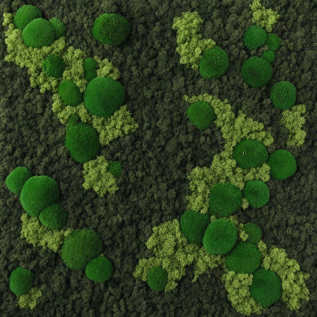 Archipelago VII thumbnail 5