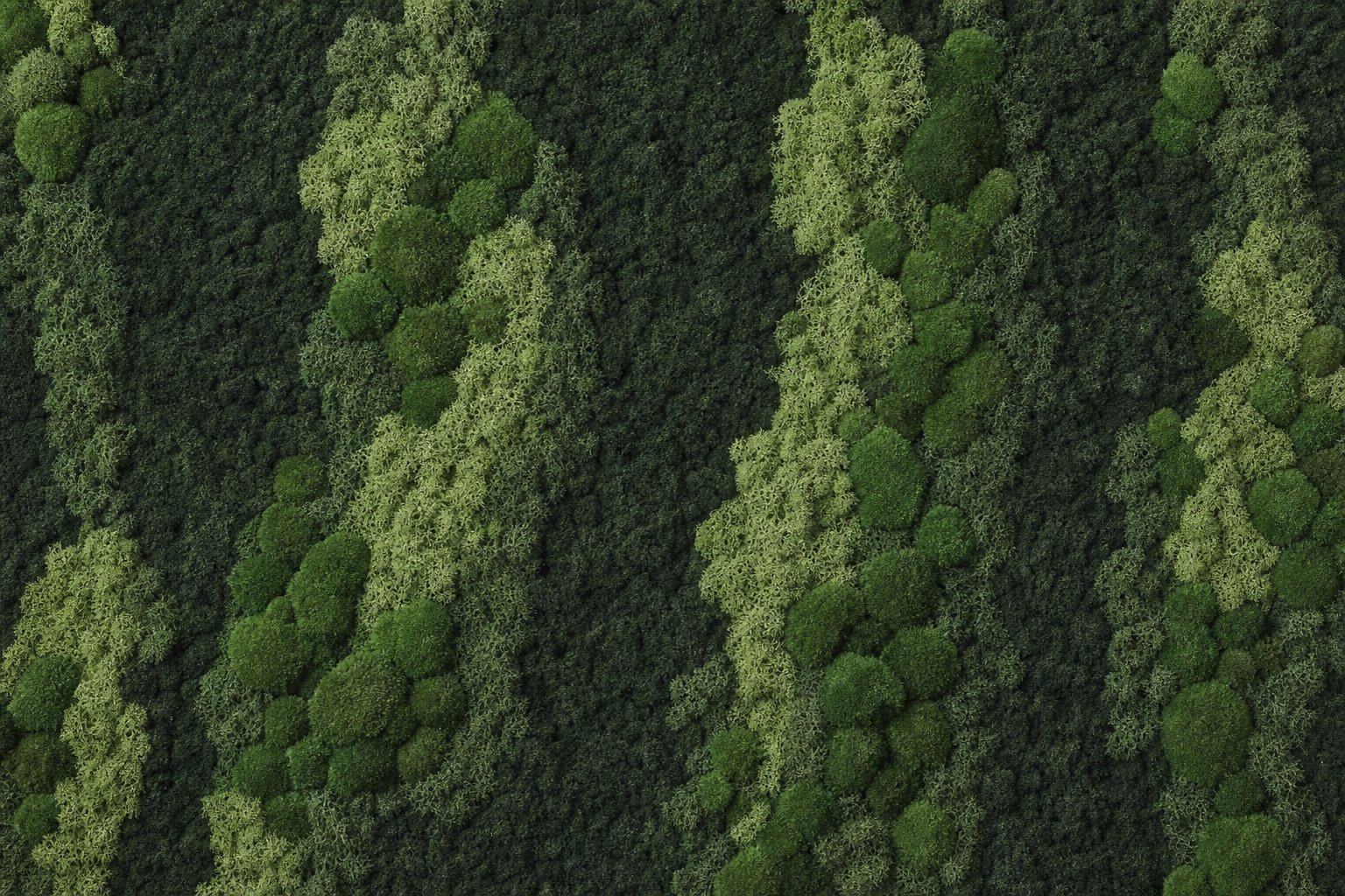 Aurora No. 4 thumbnail 4