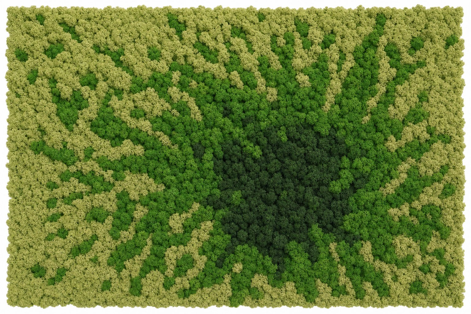 Burst No. 3 thumbnail 5