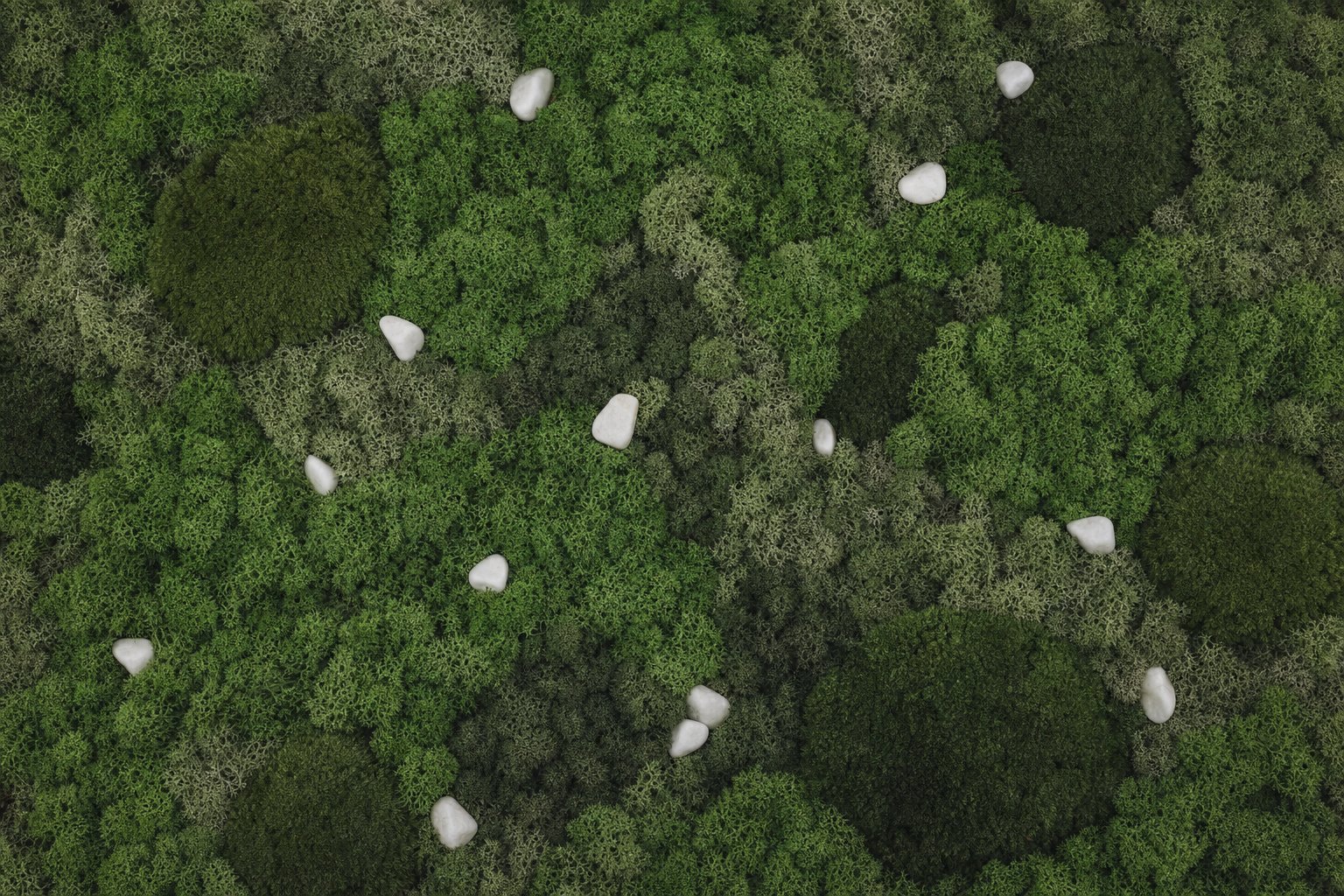 Cairn I thumbnail 5
