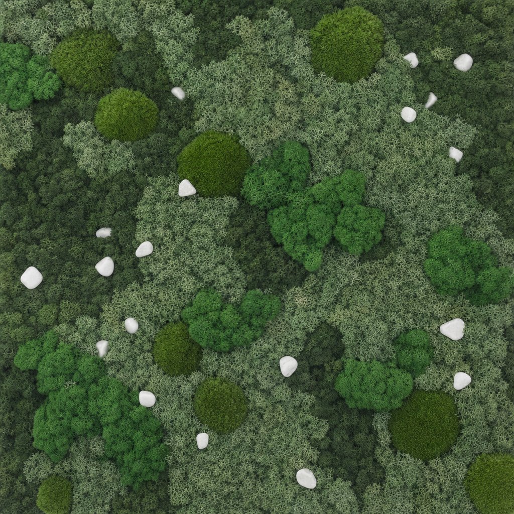 Cairn VII thumbnail 5