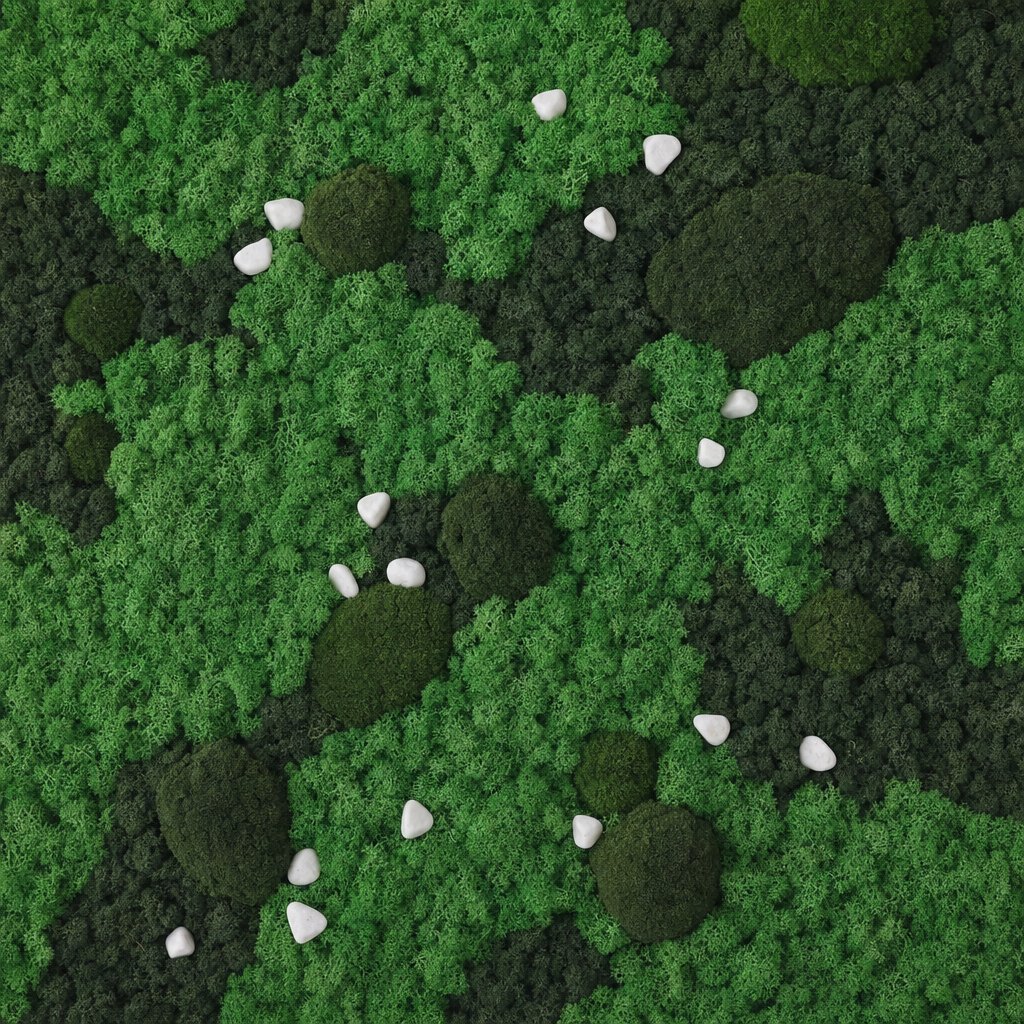 Cairn VIII thumbnail 5