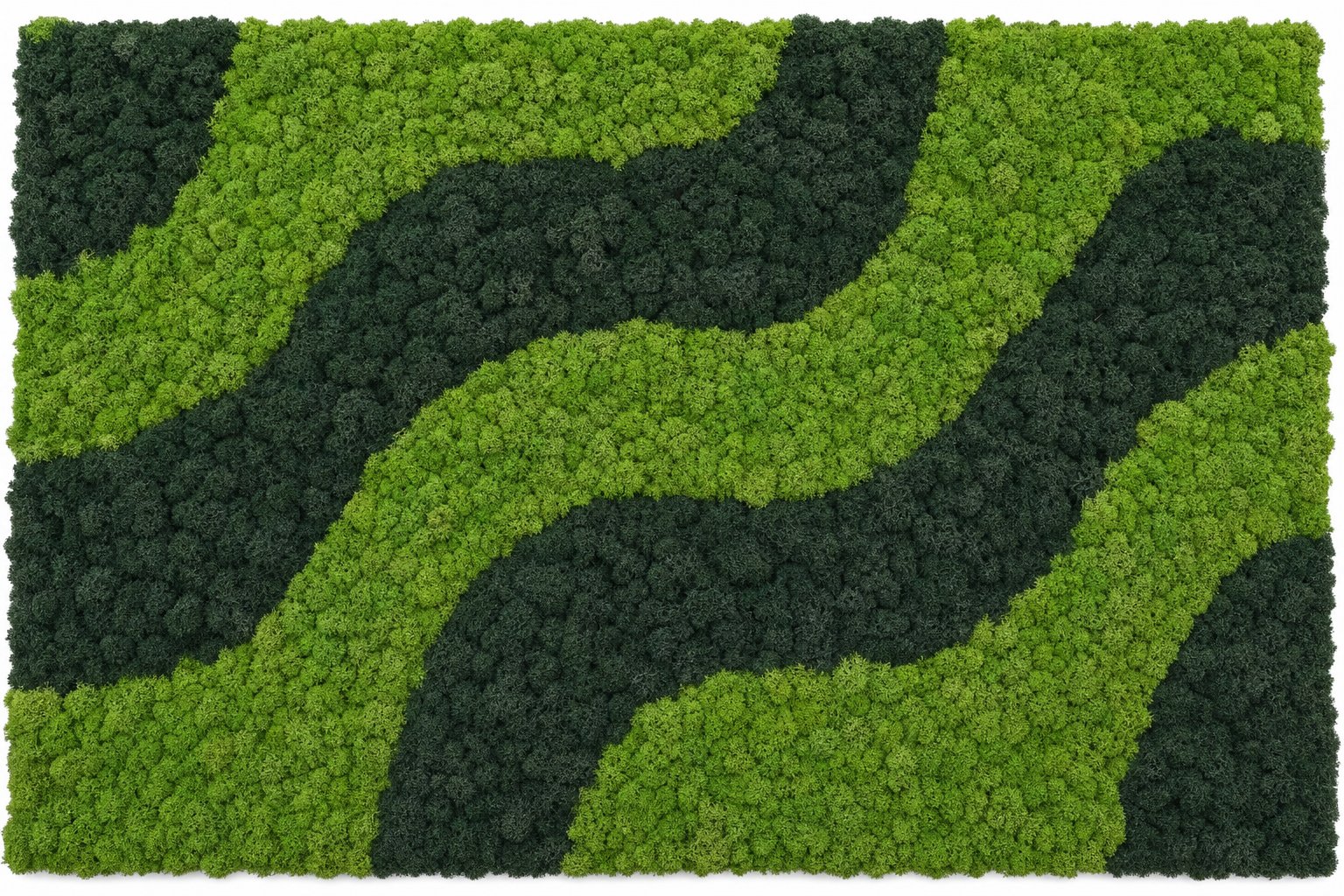 Flow No. 1 sličica 5