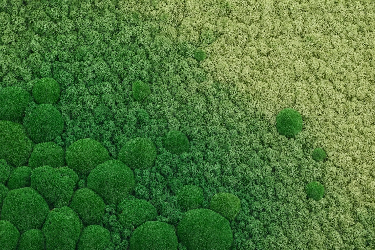 Haze I thumbnail 5
