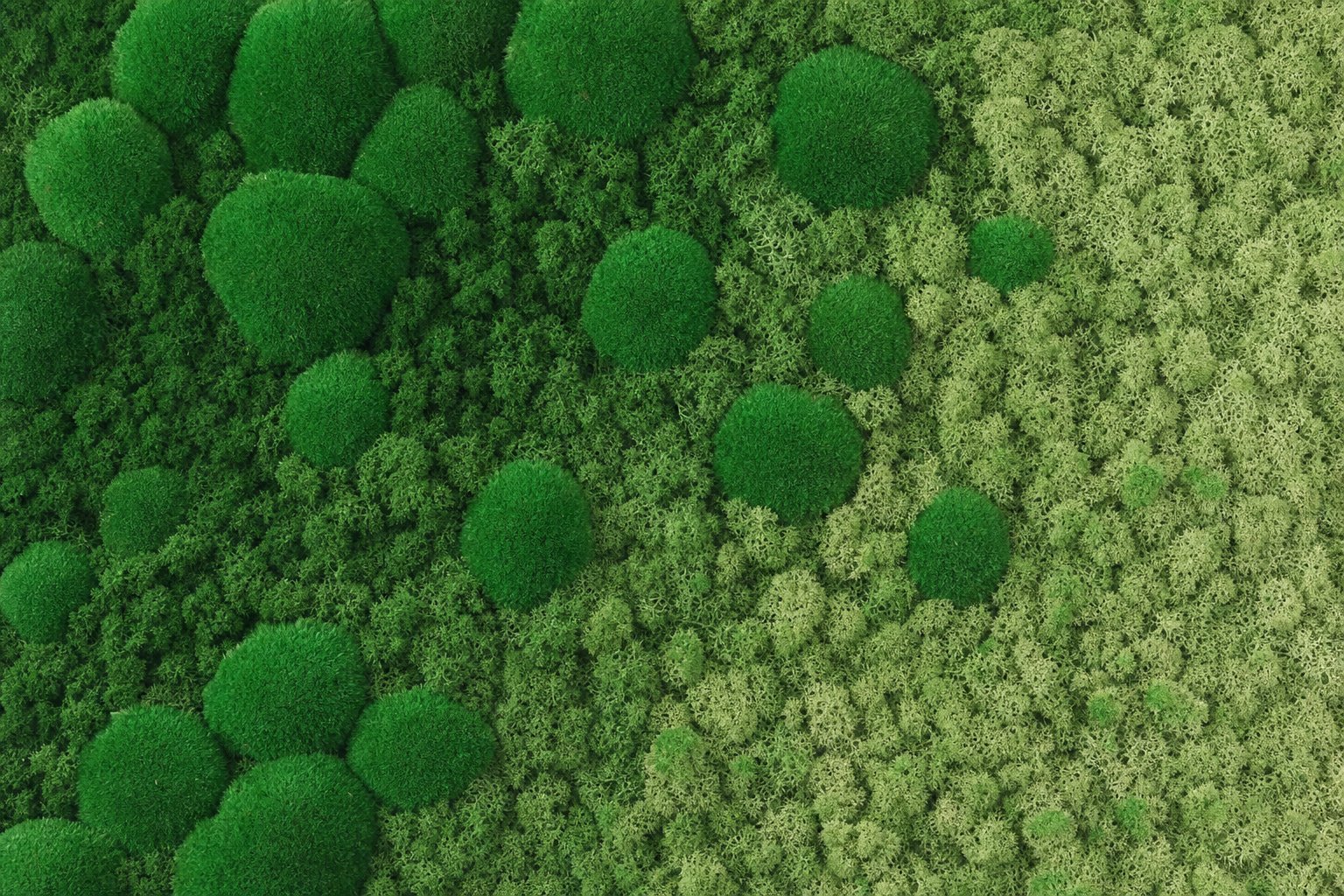 Haze II thumbnail 5