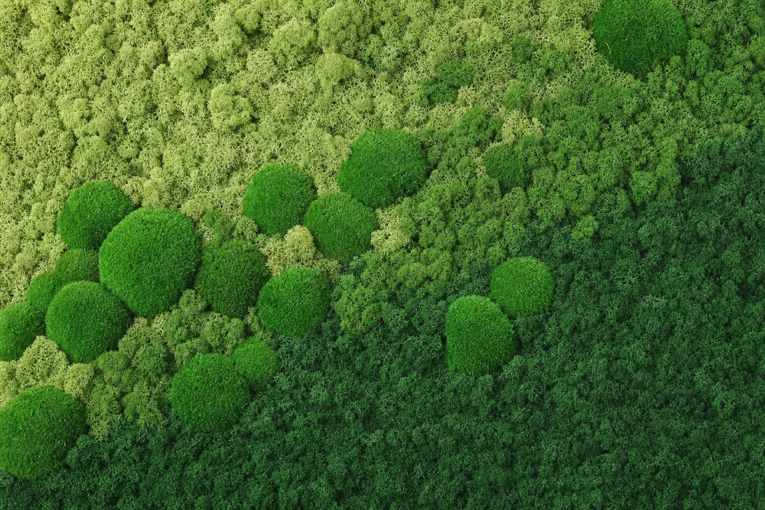 Haze III thumbnail 5