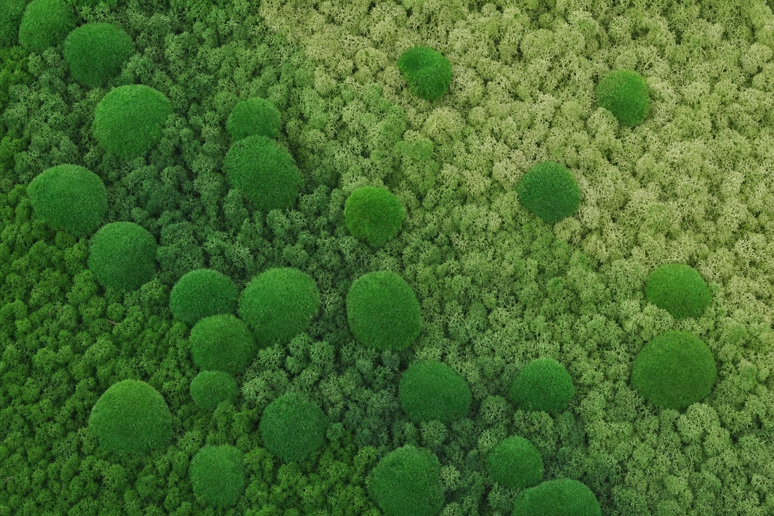 Haze IV thumbnail 5