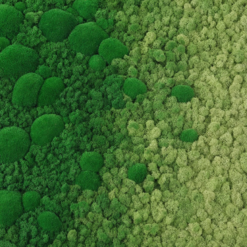 Haze V thumbnail 5