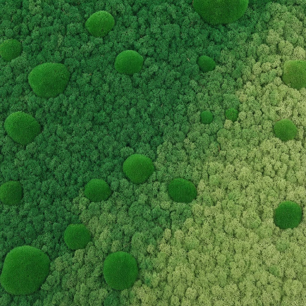 Haze VI thumbnail 5
