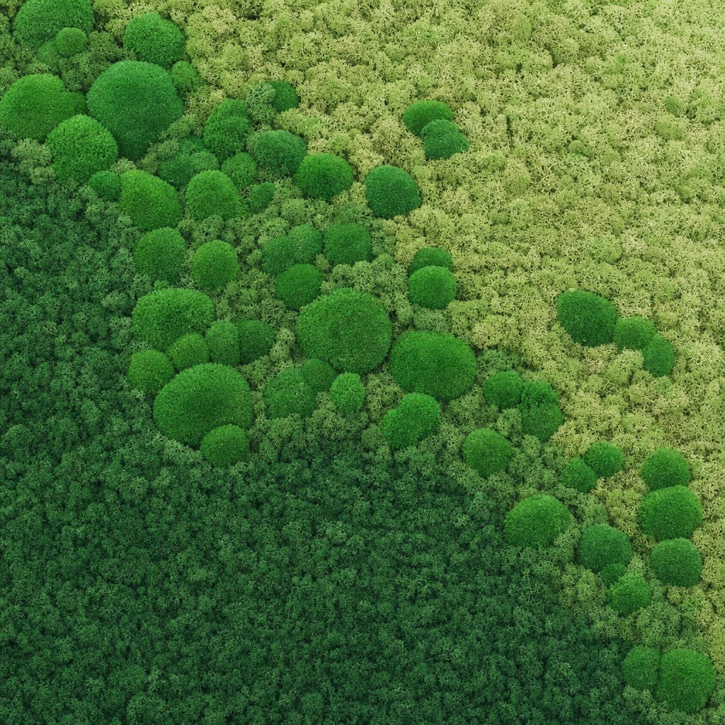 Haze VIII thumbnail 5