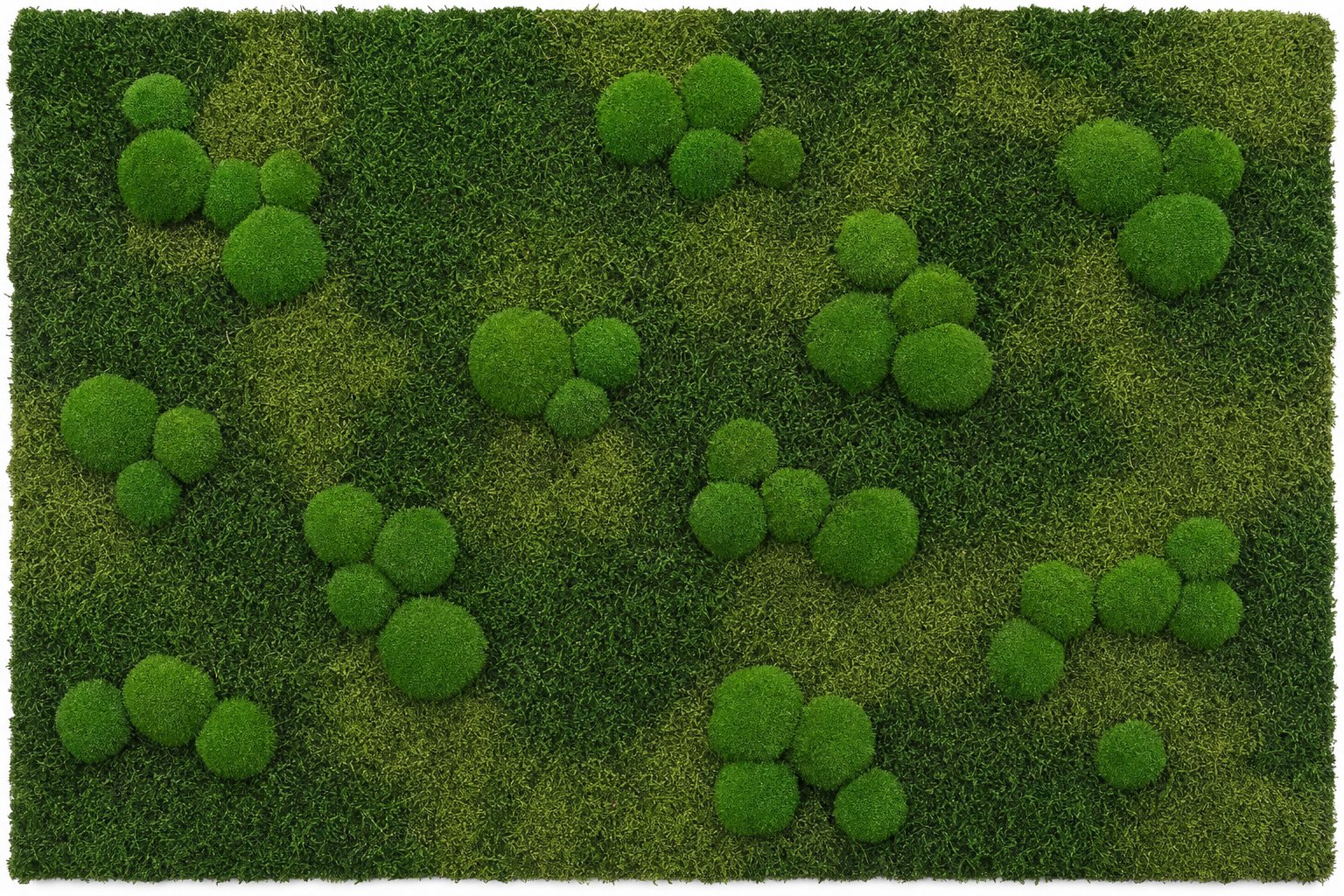 Meadow I thumbnail 5