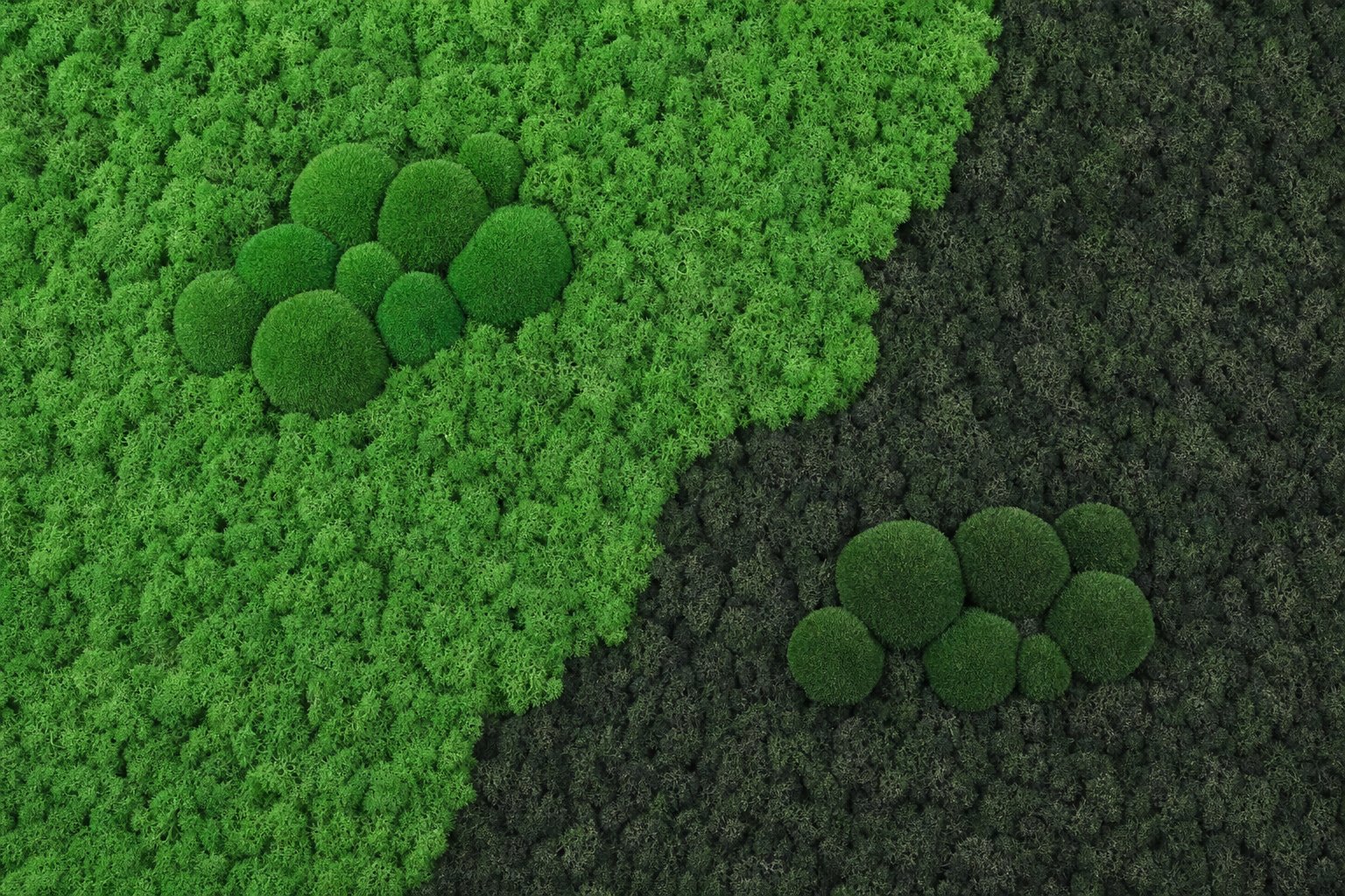 Meridian II Vorschaubild 5