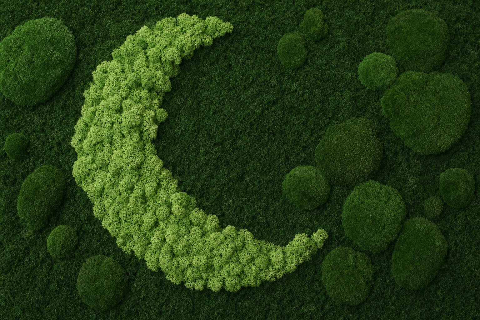 Mond No. 2 thumbnail 5