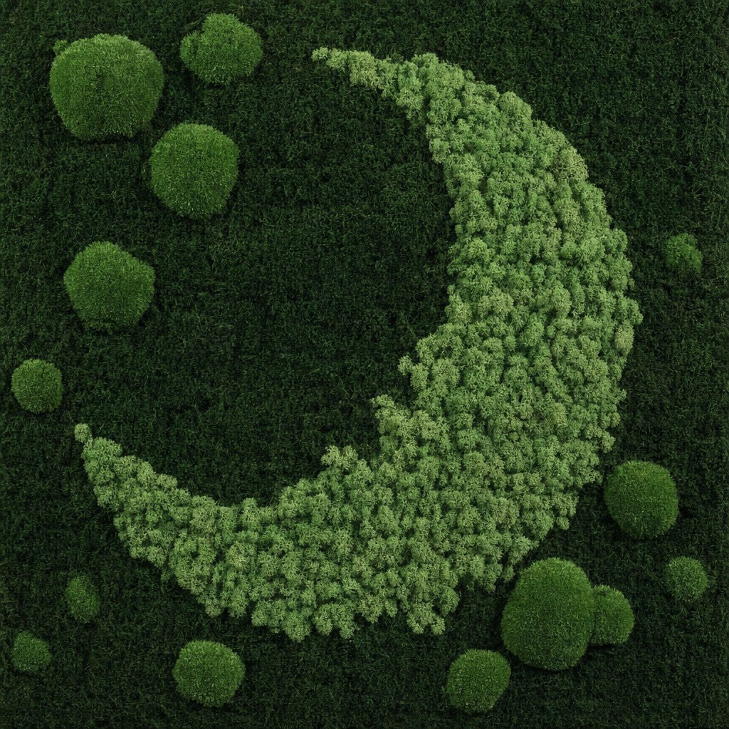 Mond No. 6 thumbnail 5