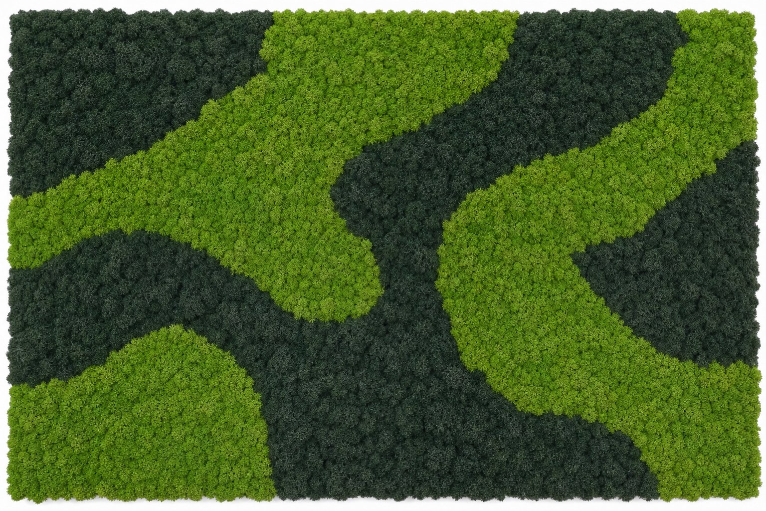 Moor No. 1 Vorschaubild 5