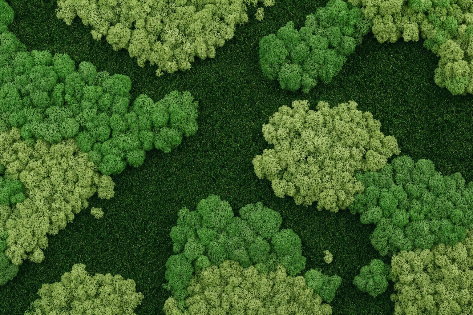 Nimbus I thumbnail 5