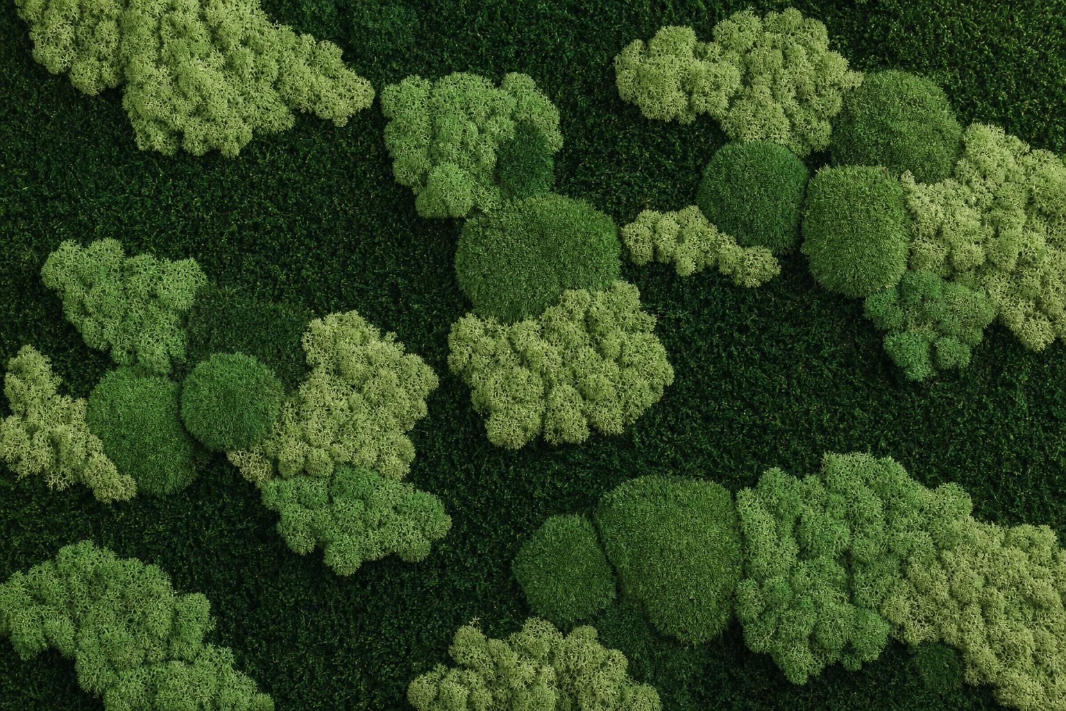 Nimbus II thumbnail 5