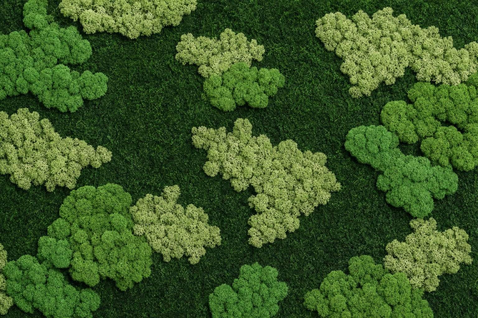 Nimbus IV thumbnail 5