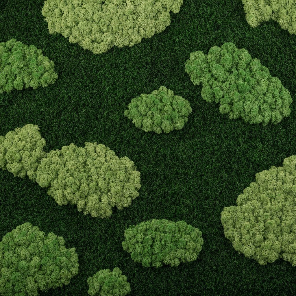 Nimbus V thumbnail 5
