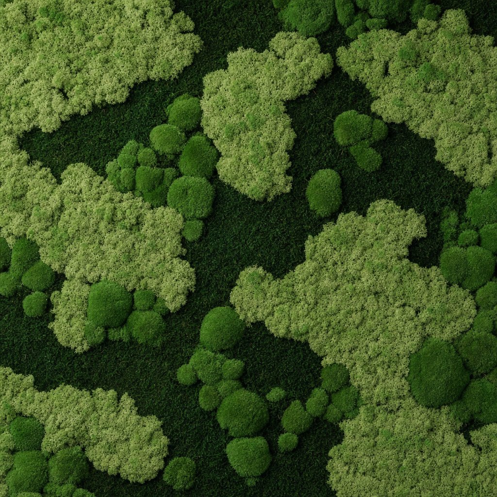 Nimbus VII thumbnail 5