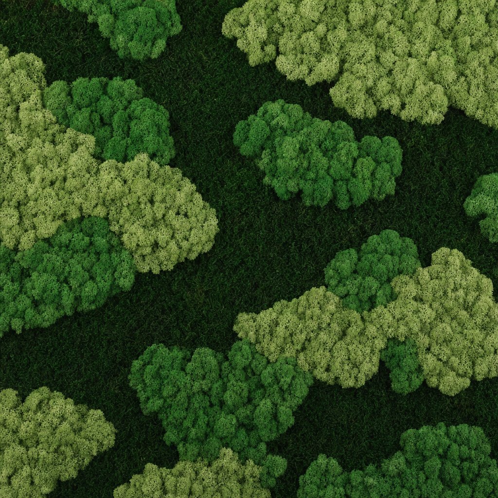 Nimbus VIII thumbnail 5