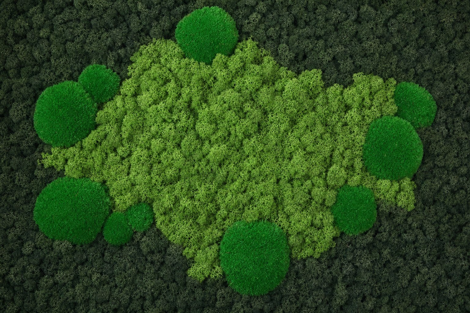 Raute No. 2 thumbnail 5