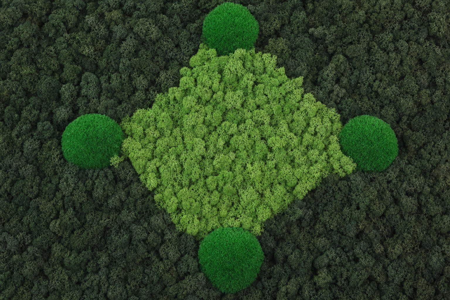 Raute No. 4 thumbnail 5