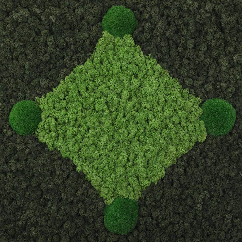 Facet No. 5 Vorschaubild 5