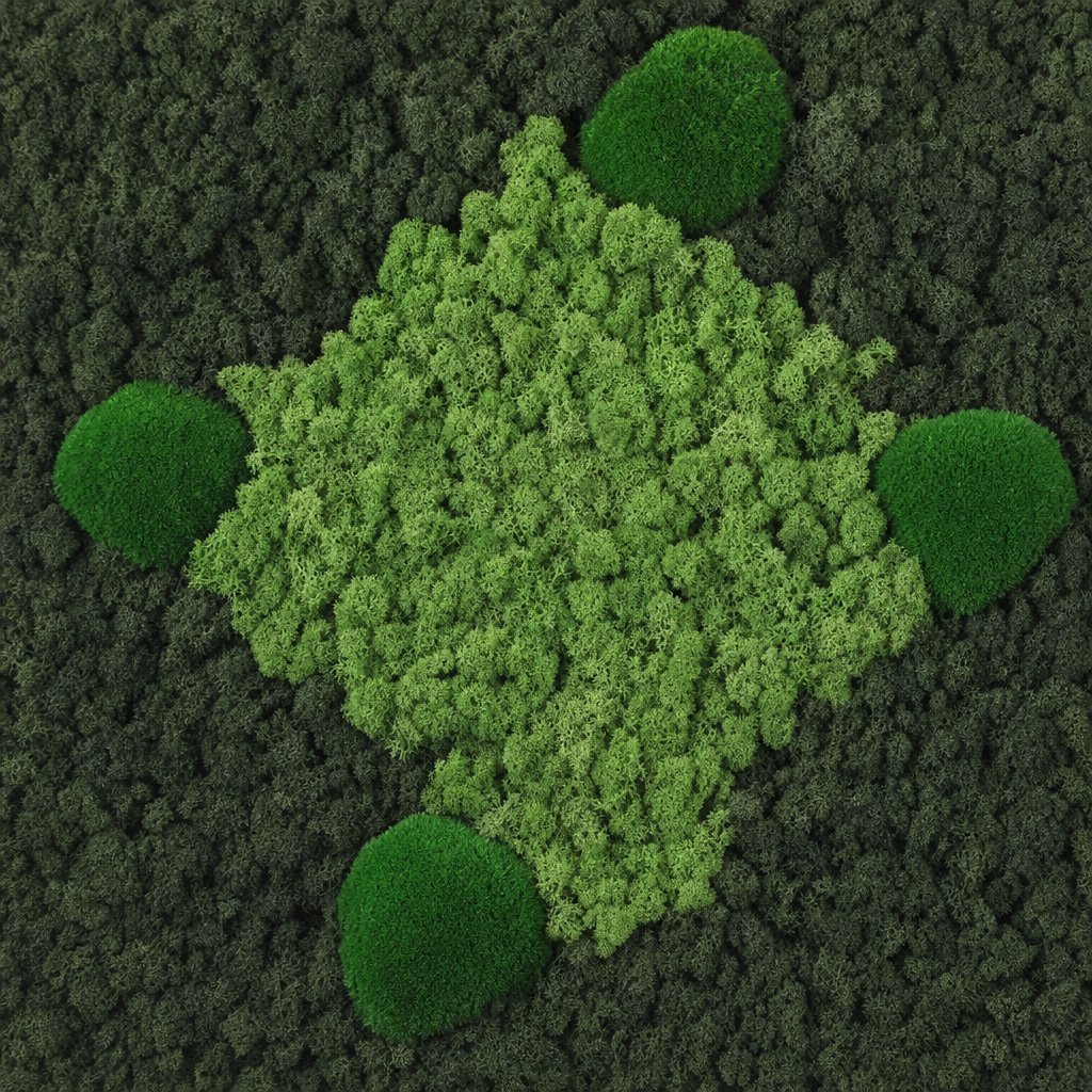 Facet No. 6 thumbnail 5