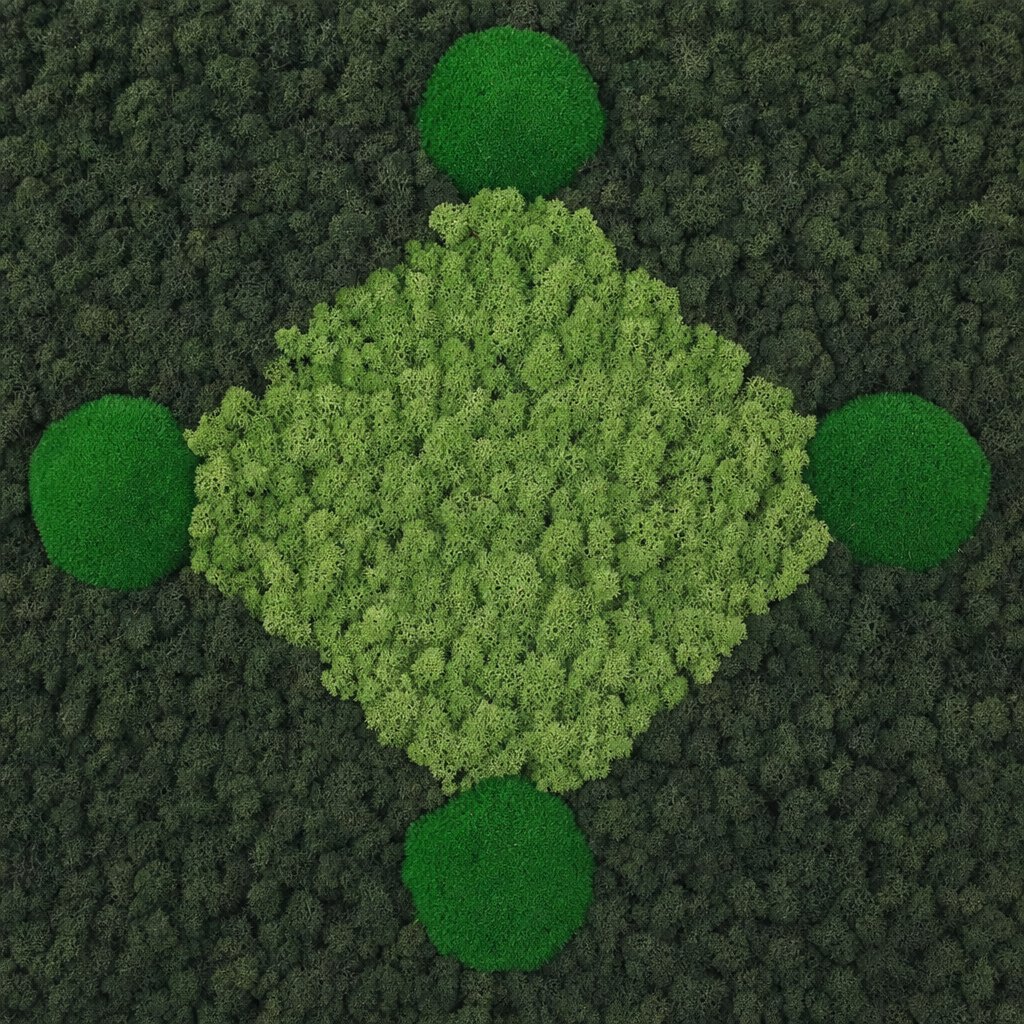 Raute No. 8 thumbnail 5
