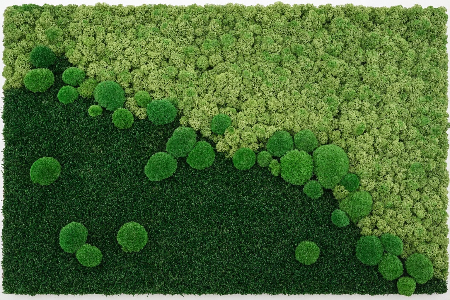 Shoreline I thumbnail 5