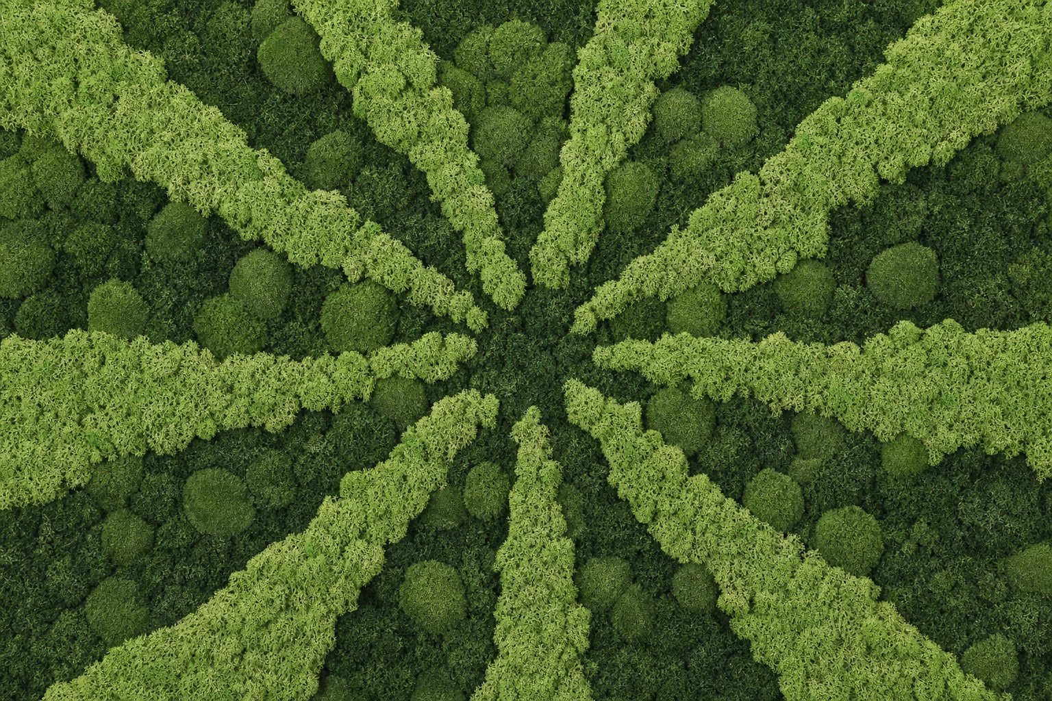 Solis IV thumbnail 5