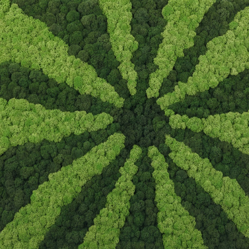 Solis VI thumbnail 5