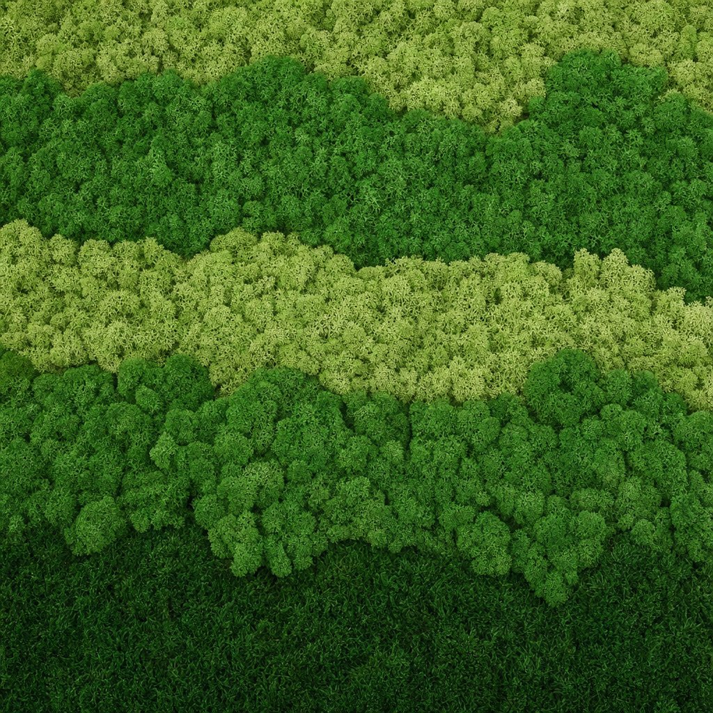 Terrace VII thumbnail 5