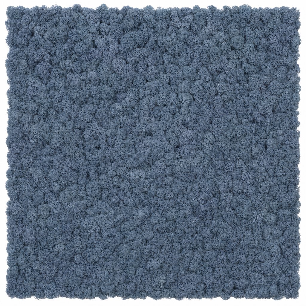Tundra Cobalt Circle thumbnail 4