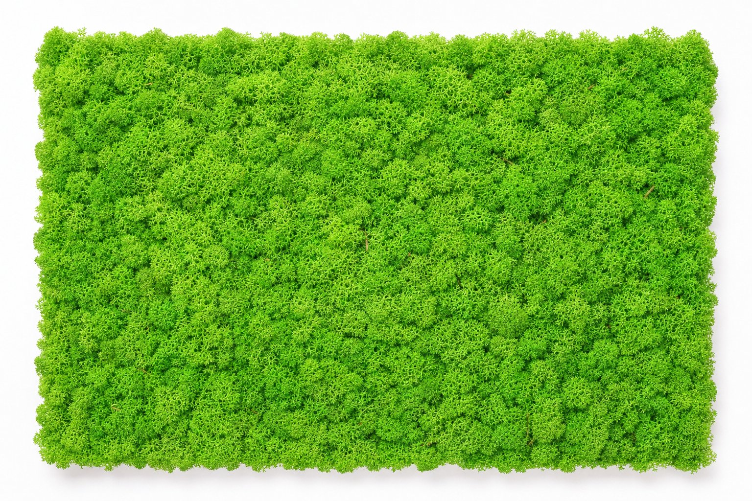 Tundra Spring thumbnail 4